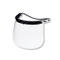 Protective Face Mask